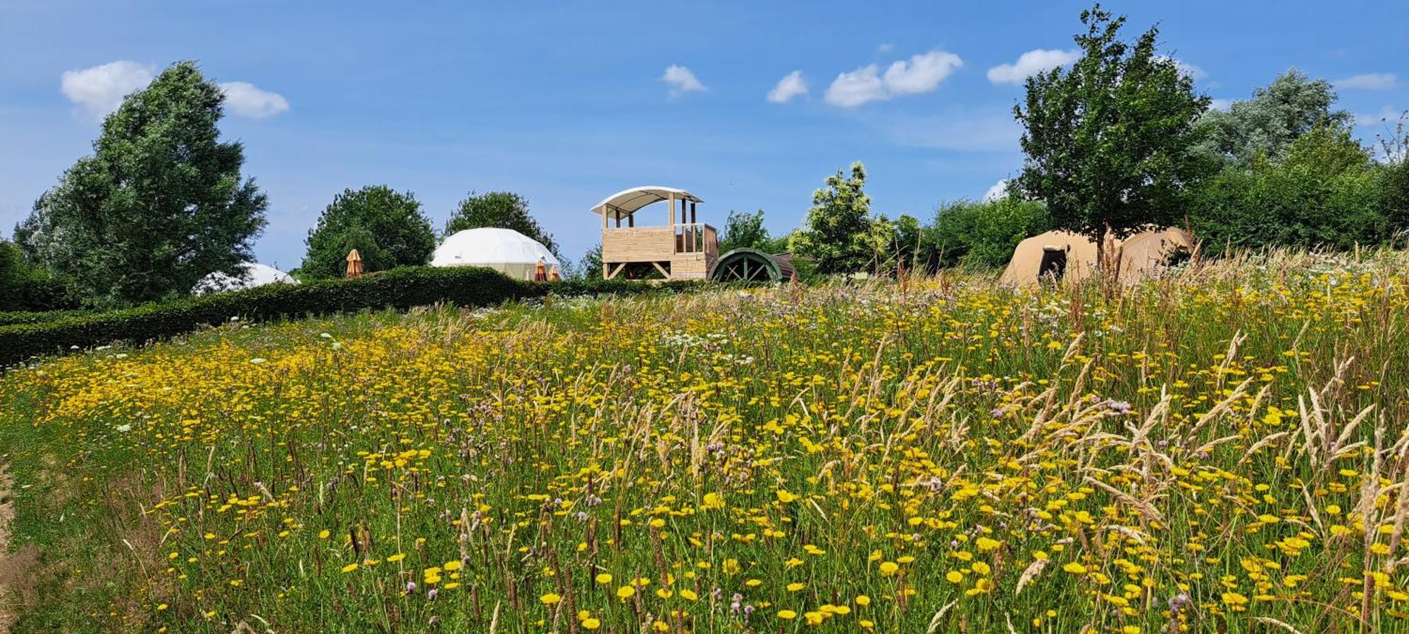 Ecochique Westouter Exterior foto