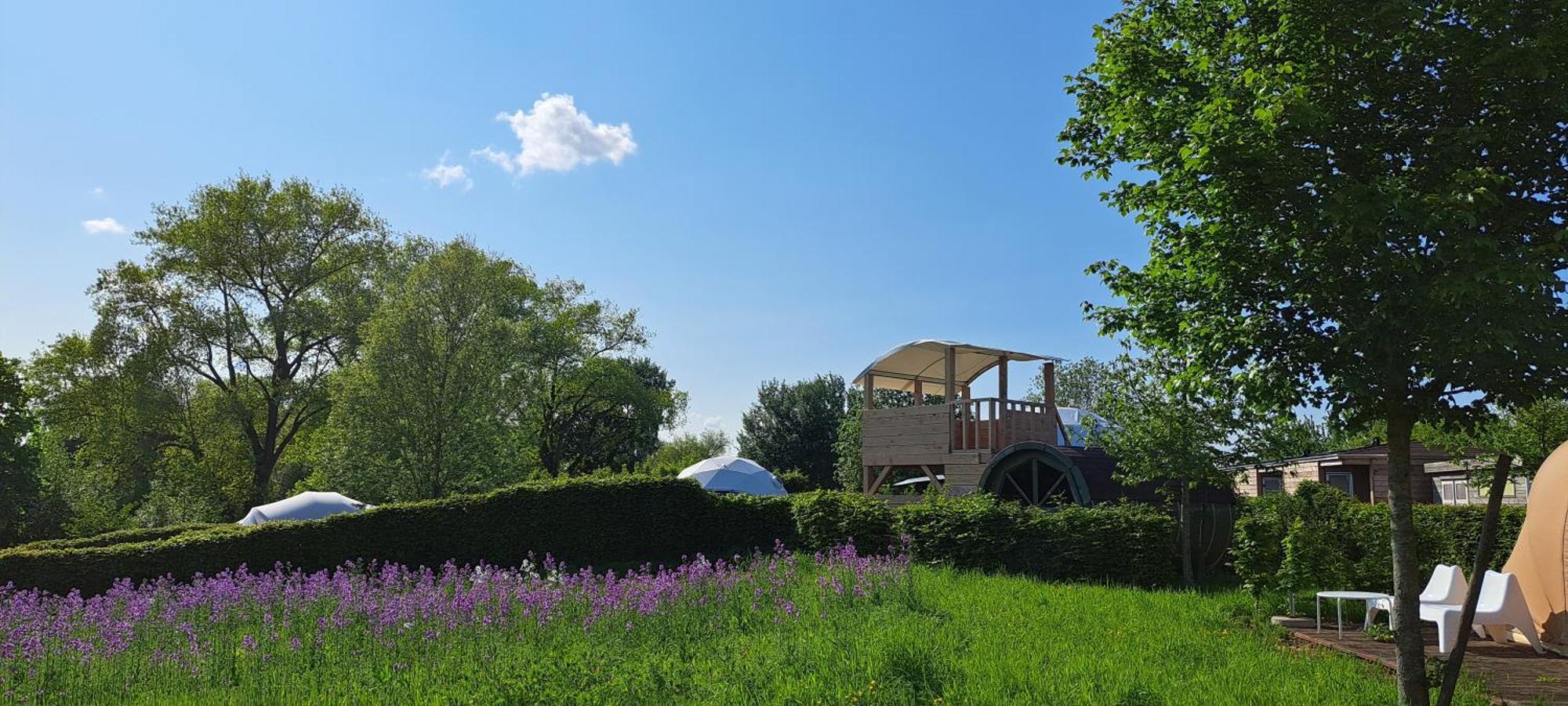 Ecochique Westouter Exterior foto