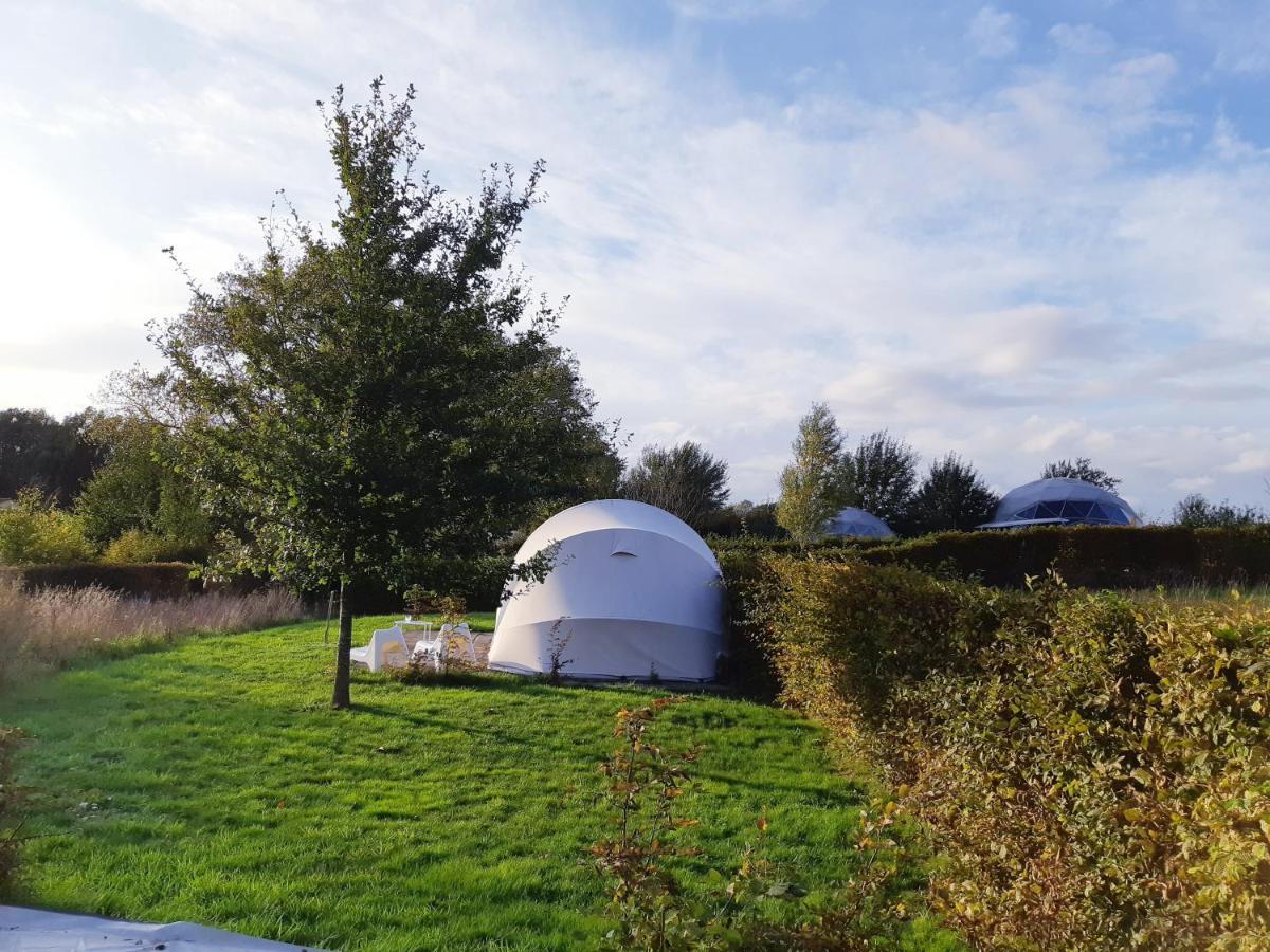 Ecochique Westouter Exterior foto